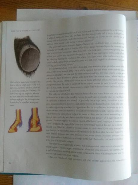 Conociendo a los monstruos de Islandia: Meeting with monsters Conociendo a los monstruos de Islandia: Meeting with monsters