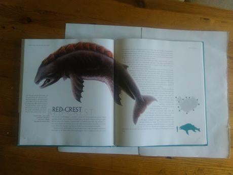 Conociendo a los monstruos de Islandia: Meeting with monsters Conociendo a los monstruos de Islandia: Meeting with monsters