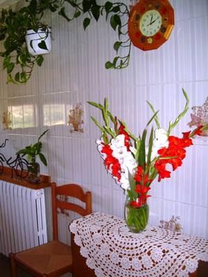 Decora tu casa con flores