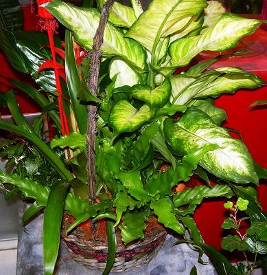 Decora tu casa con flores