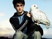 Harry Potter filosofía. Hogwarts para muggles