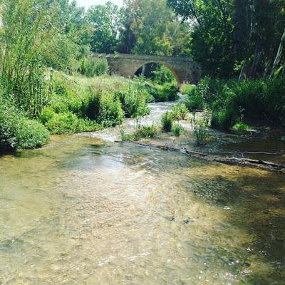 chelva, ruta del agua, senderismo, salida en familia, salida con niños, naturaleza