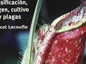 ¿Que estoy leyendo?