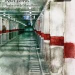 Peter Terrin: El vigilante