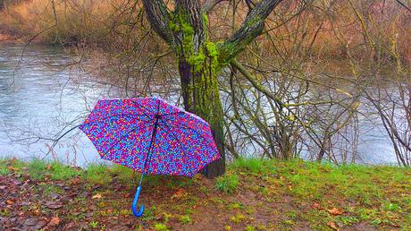 LLUVIA DE COLORES