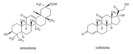comparativa estructuras enoxolona y cortisona