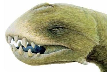 Nuevo bestiario para Mythic Iceland I: Introducción