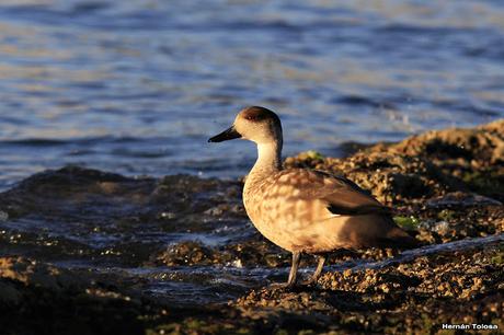 Crestones al amanecer