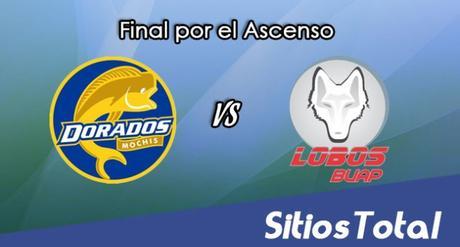 Dorados de Sinaloa vs Lobos BUAP en Vivo – Ida Final por el Ascenso – Online, Por TV, Radio en Linea, MxM
