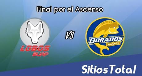 Lobos BUAP vs Dorados de Sinaloa en Vivo – Ida Final por el Ascenso – Online, Por TV, Radio en Linea, MxM