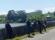 Cigüeña, alcotán otras Asturias