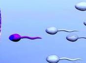 Semen normal: cómo aumentar eyaculación