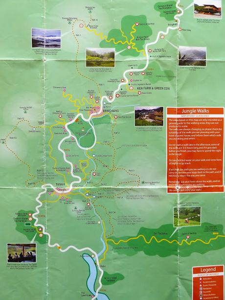 Cameron Highlands, verde que te quiero verde