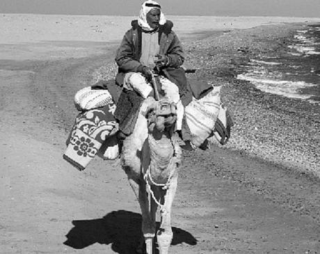 CAP. 53 . . . . . . . . . . . . . . . . . . . . . . . . . . . . . . Andanzas y tropezones de Dikembe Biyombo