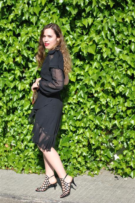  photo DSC_0595_zpssmh5zbov.jpg