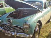 Kaiser Bergantín Super