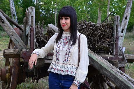 Embroidery blouse