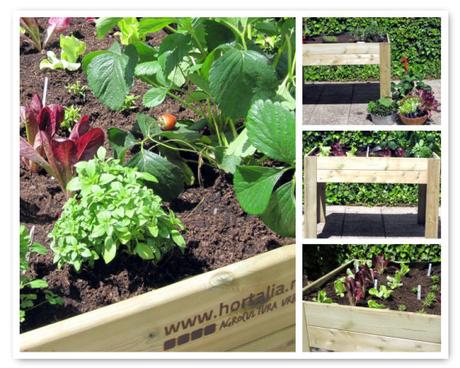 Te llevé al huerto…