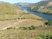 QUINTA CRASTO, Valle Douro