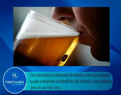 MEJOR ANALGÉSICO QUE EL PARACETAMOL: LA CERVEZA…