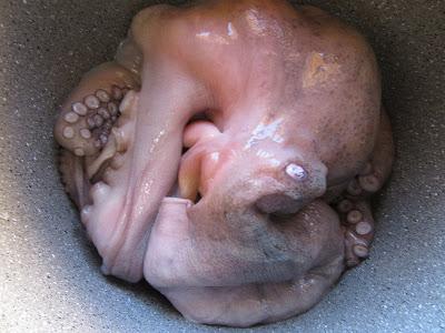 Pulpo en su jugo (Sin agua) olla GM