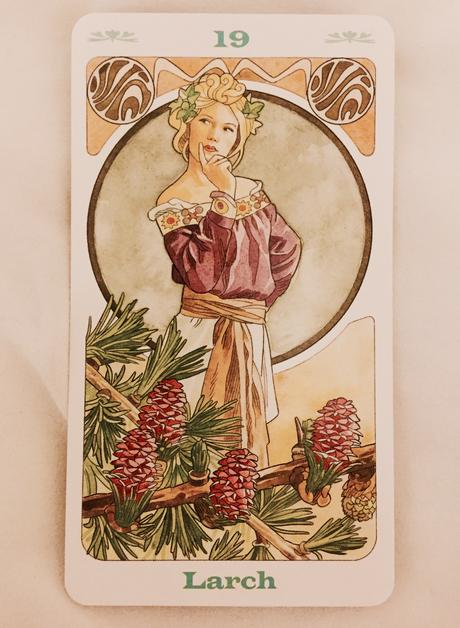 Cartas Florales de Bach