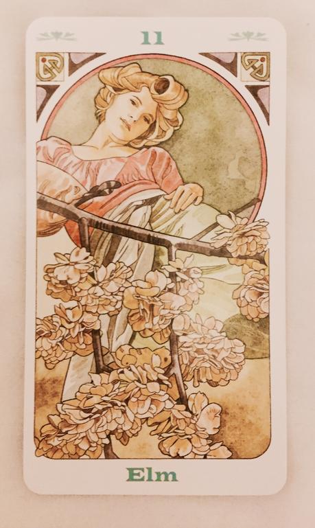 Cartas Florales de Bach