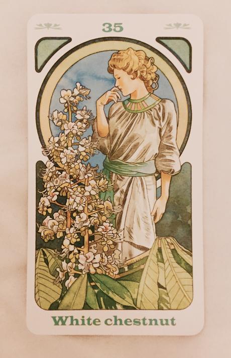 Cartas Florales de Bach