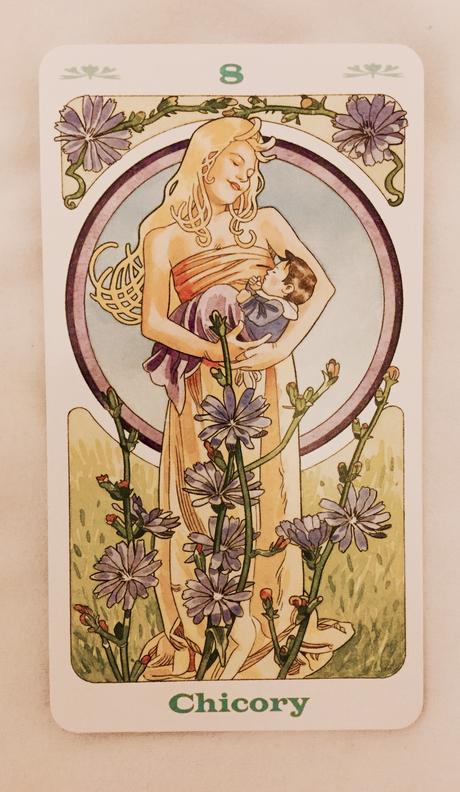 Cartas Florales de Bach