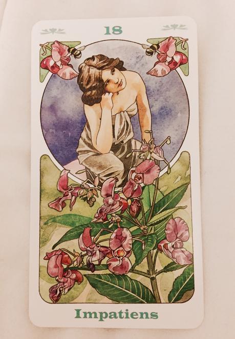 Cartas Florales de Bach