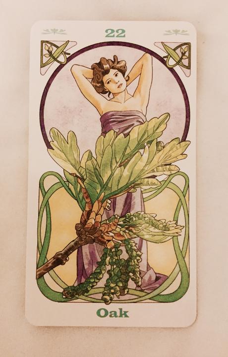 Cartas Florales de Bach