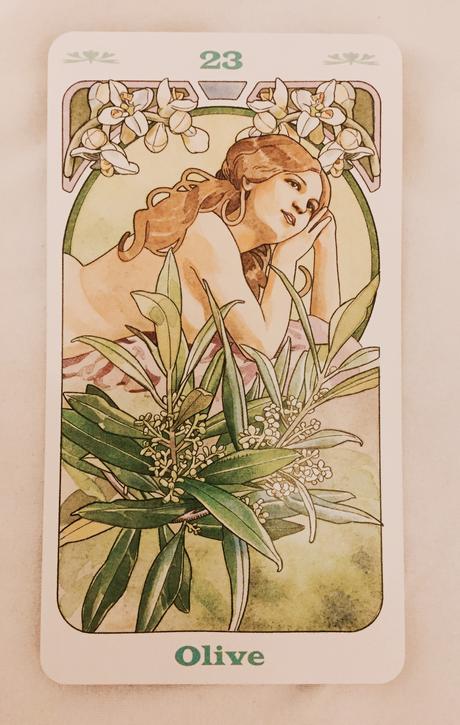 Cartas Florales de Bach