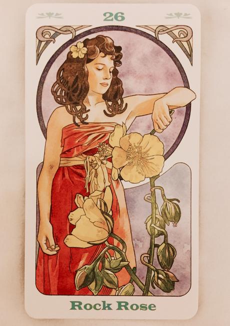 Cartas Florales de Bach