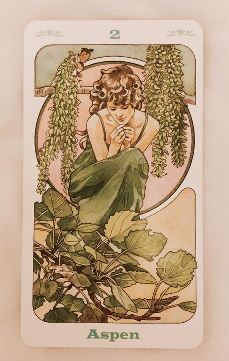 Cartas Florales de Bach