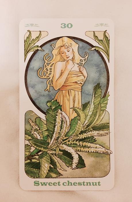 Cartas Florales de Bach