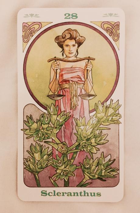 Cartas Florales de Bach