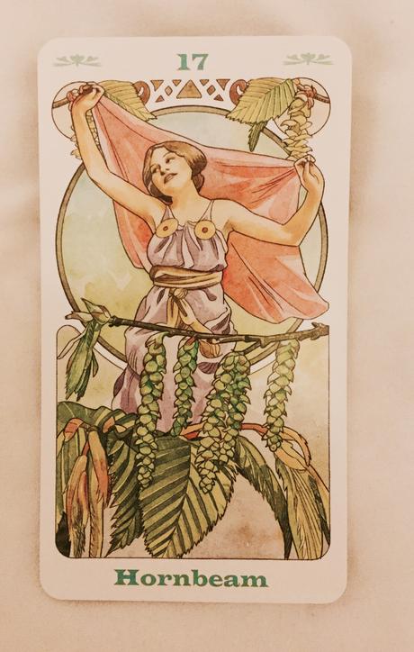 Cartas Florales de Bach