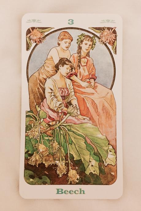 Cartas Florales de Bach