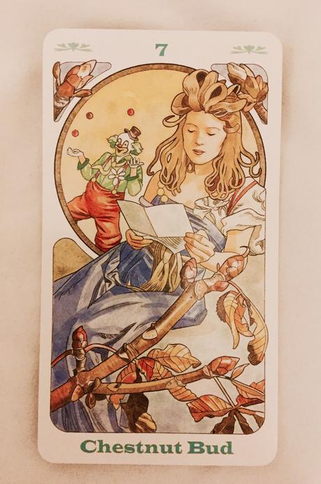 Cartas Florales de Bach