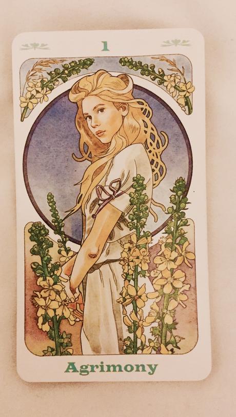 Cartas Florales de Bach