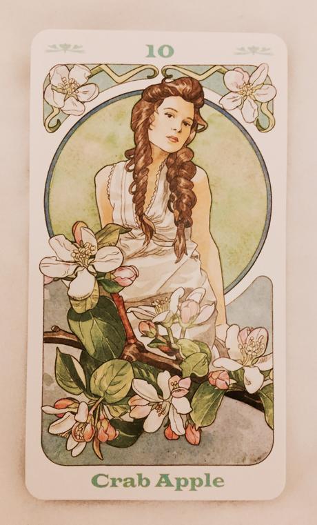 Cartas Florales de Bach