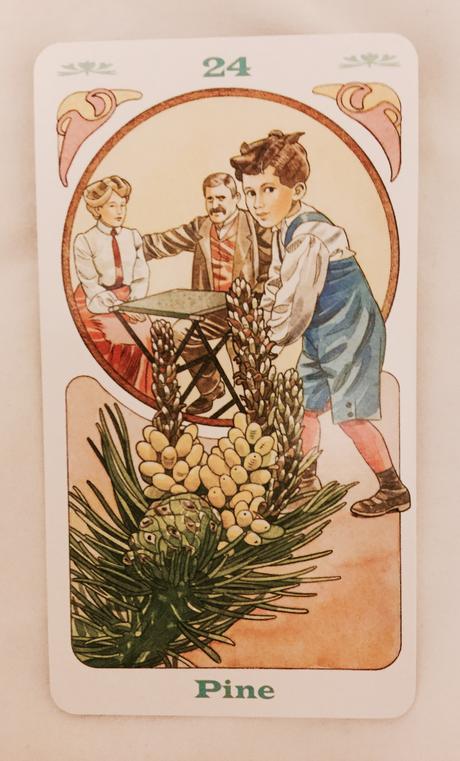 Cartas Florales de Bach