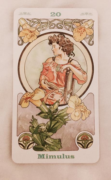 Cartas Florales de Bach