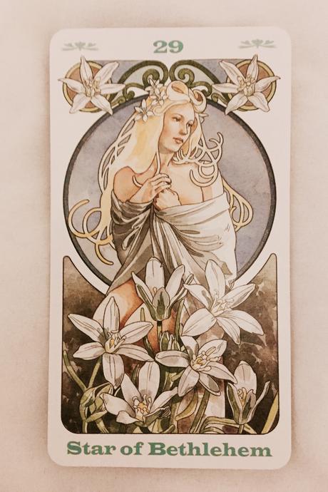 Cartas Florales de Bach