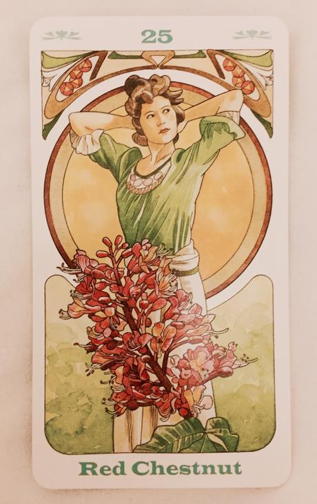 Cartas Florales de Bach