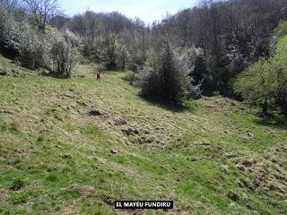 El Val.le Peral-Campa la Soma-La Mesta-Les Mines de Texeo-Llazarandín-L'Abeduriu-La Paradiel.la