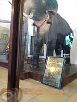 Kandy, Patrimonio de la Humanidad y del budismo