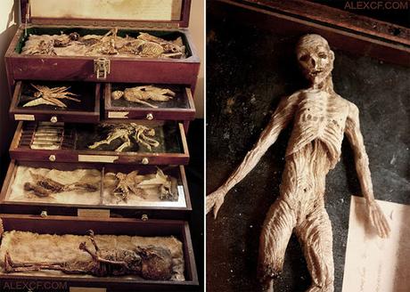 Descubrimiento «sin precedentes»: Hallan 17 momias en el centro de Egipto