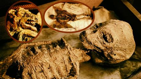 Cuerpos de extrañas criaturas míticas encontrados en sótano de una mansión del Reino Unido
