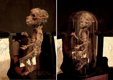 Descubrimiento «sin precedentes»: Hallan 17 momias en el centro de Egipto